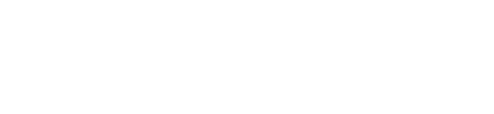 Logo Karvix